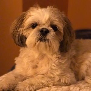 Meet your Posher, Kaitlin